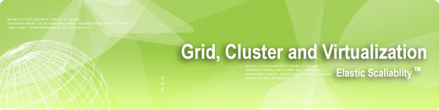 Grid, Cluster and Virtualization -- Elastic Scaliablity (tm)
